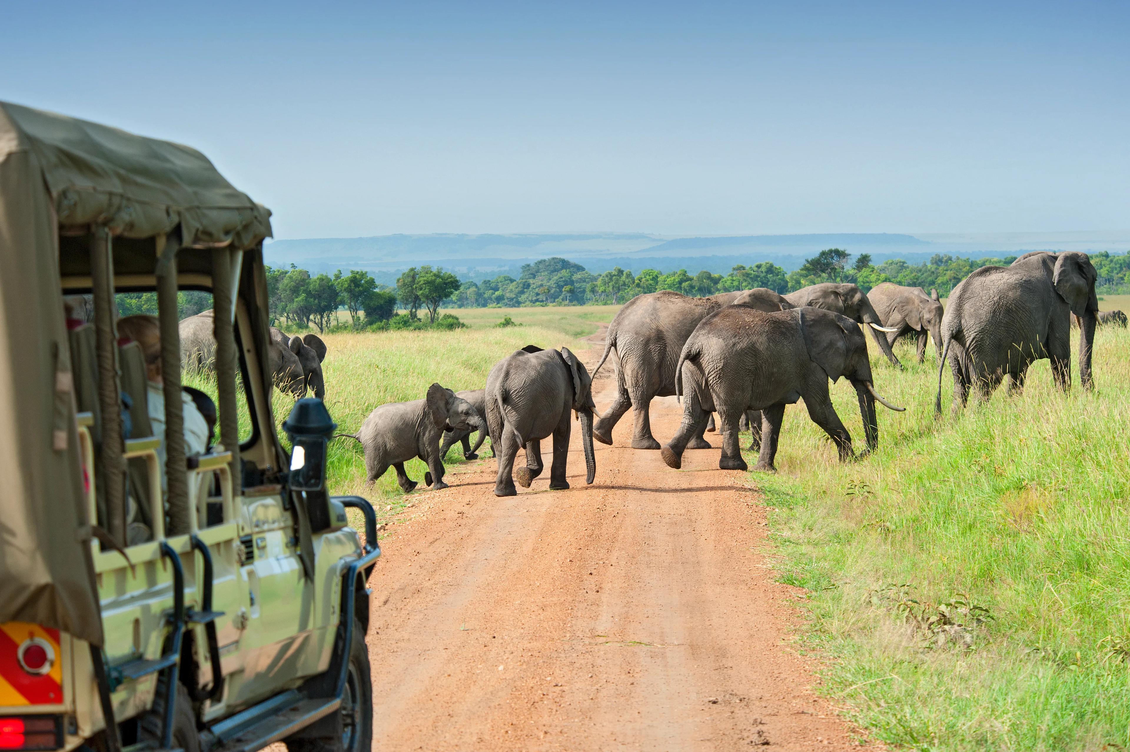 South Africa Escorted 19 Day Tour - background banner