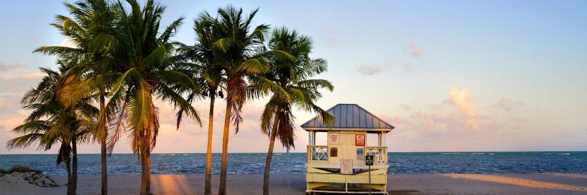 Miami – Beautiful Beaches, Art, Décor & More - background banner